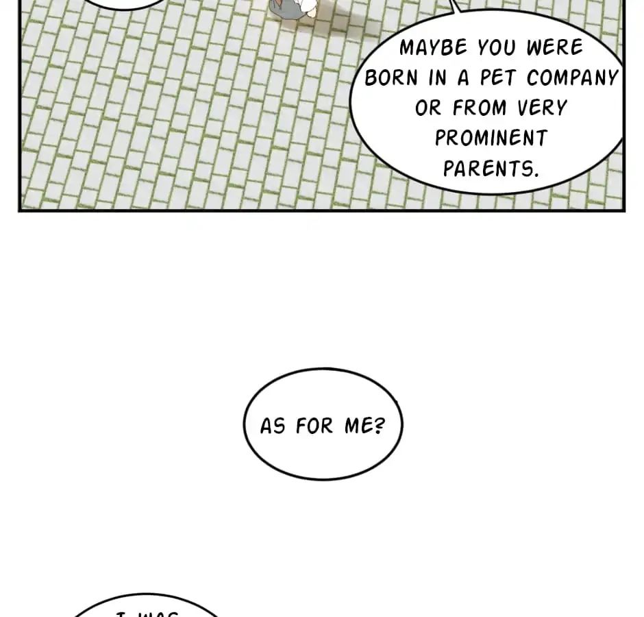 A World Ruled by Cats chapter 12 - page 9