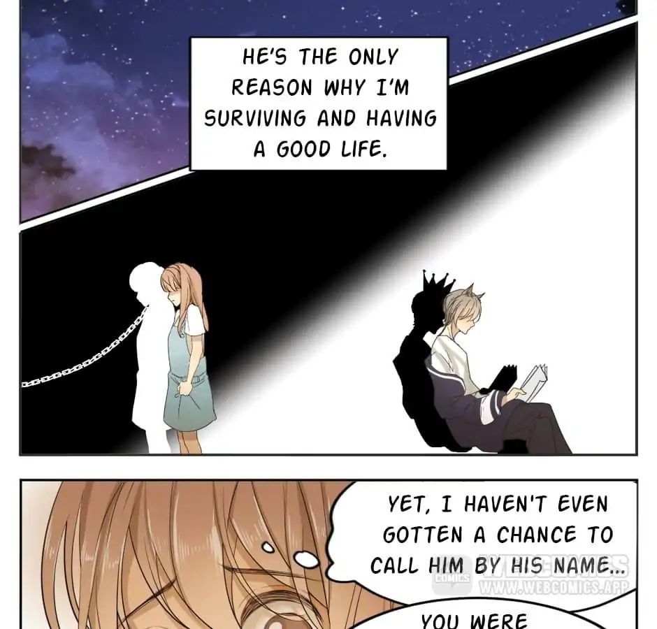 A World Ruled by Cats chapter 13 - page 15