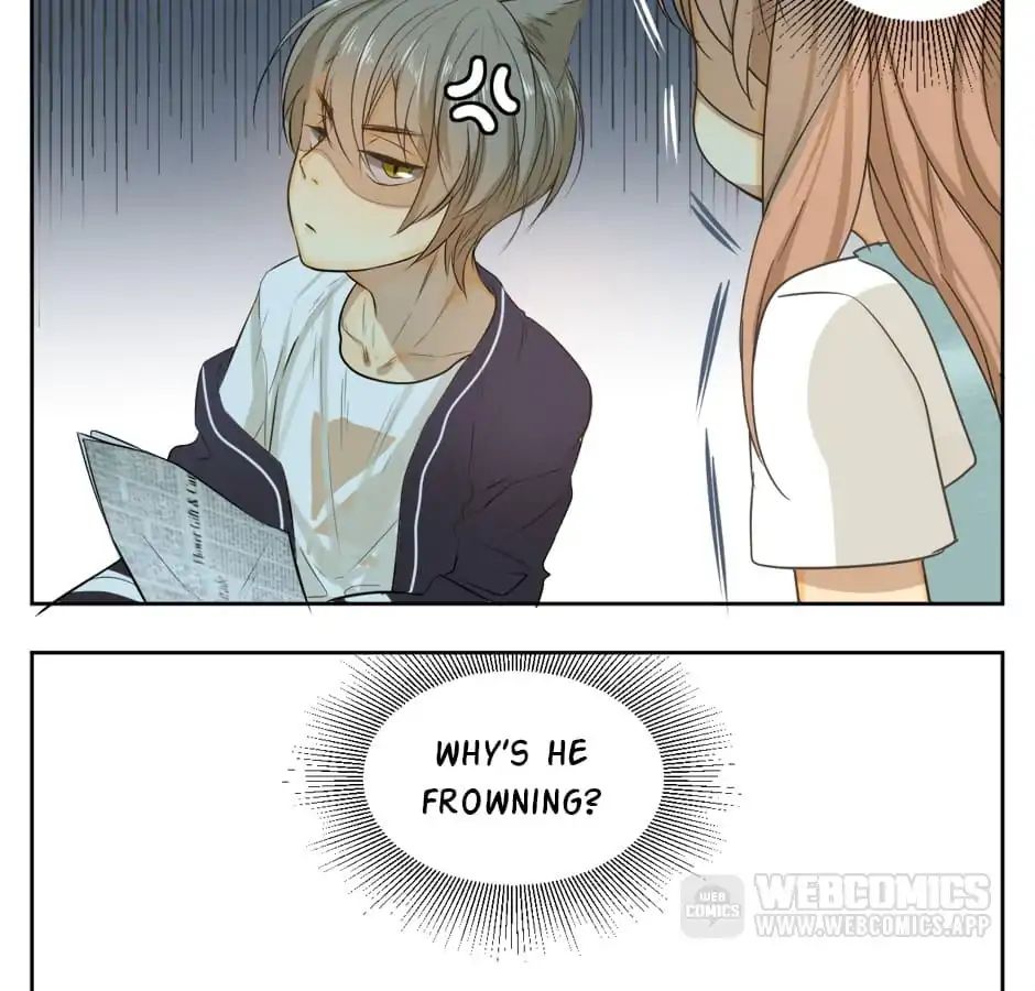 A World Ruled by Cats chapter 13 - page 24