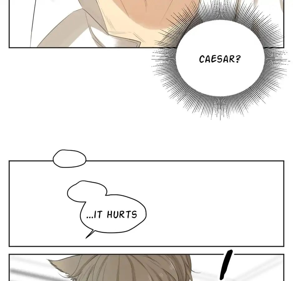 A World Ruled by Cats chapter 16 - page 14