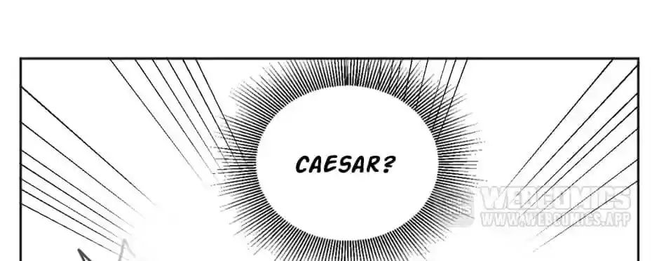 A World Ruled by Cats chapter 16 - page 3