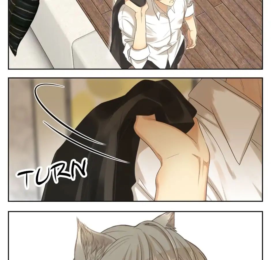 A World Ruled by Cats chapter 16 - page 32
