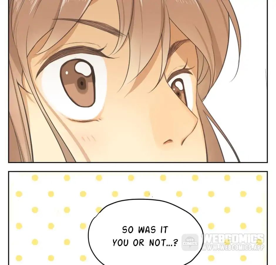 A World Ruled by Cats chapter 16 - page 34
