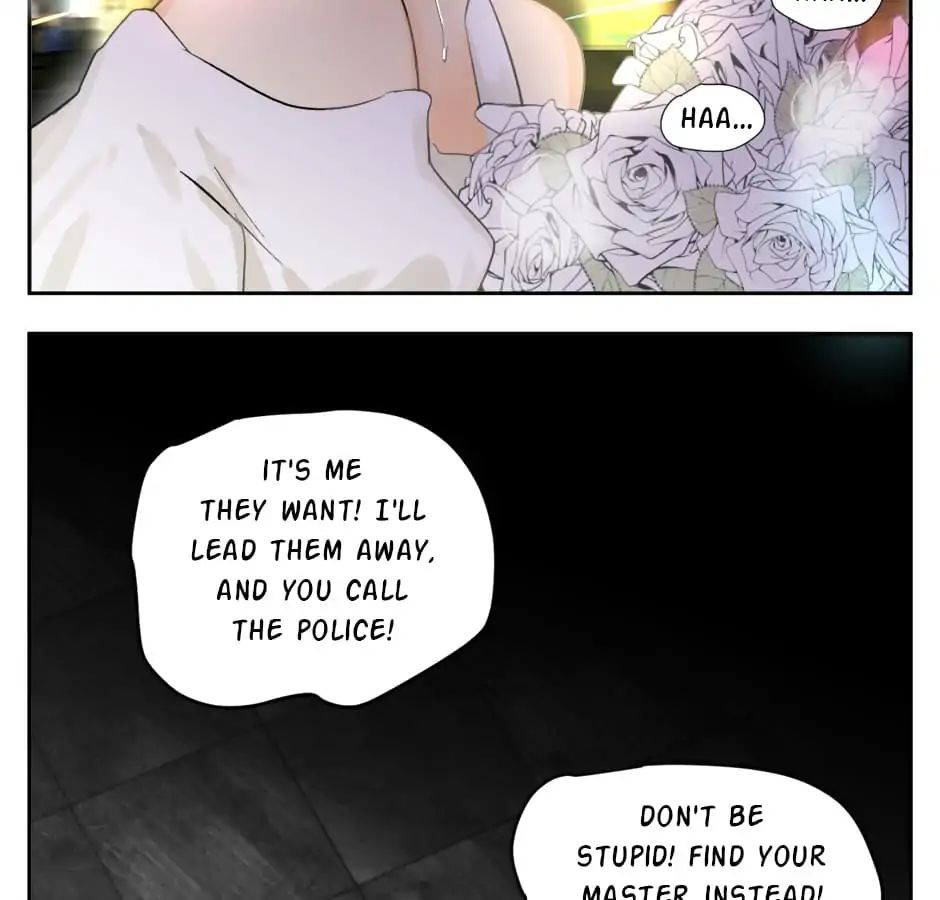 A World Ruled by Cats chapter 18 - page 19