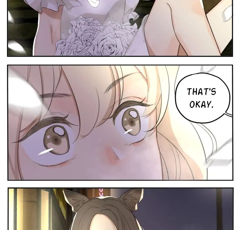 A World Ruled by Cats chapter 18 - page 24