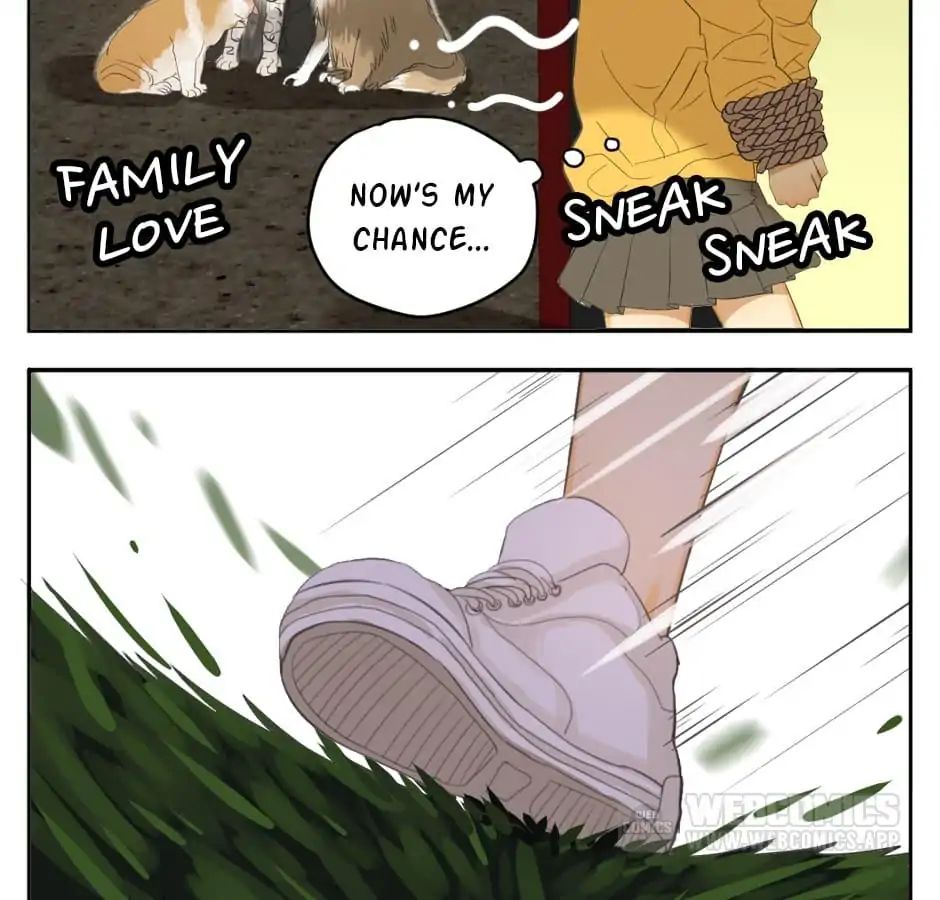 A World Ruled by Cats chapter 18 - page 32