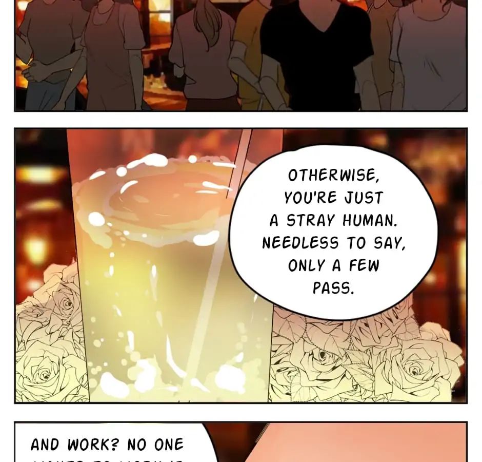 A World Ruled by Cats chapter 18 - page 5