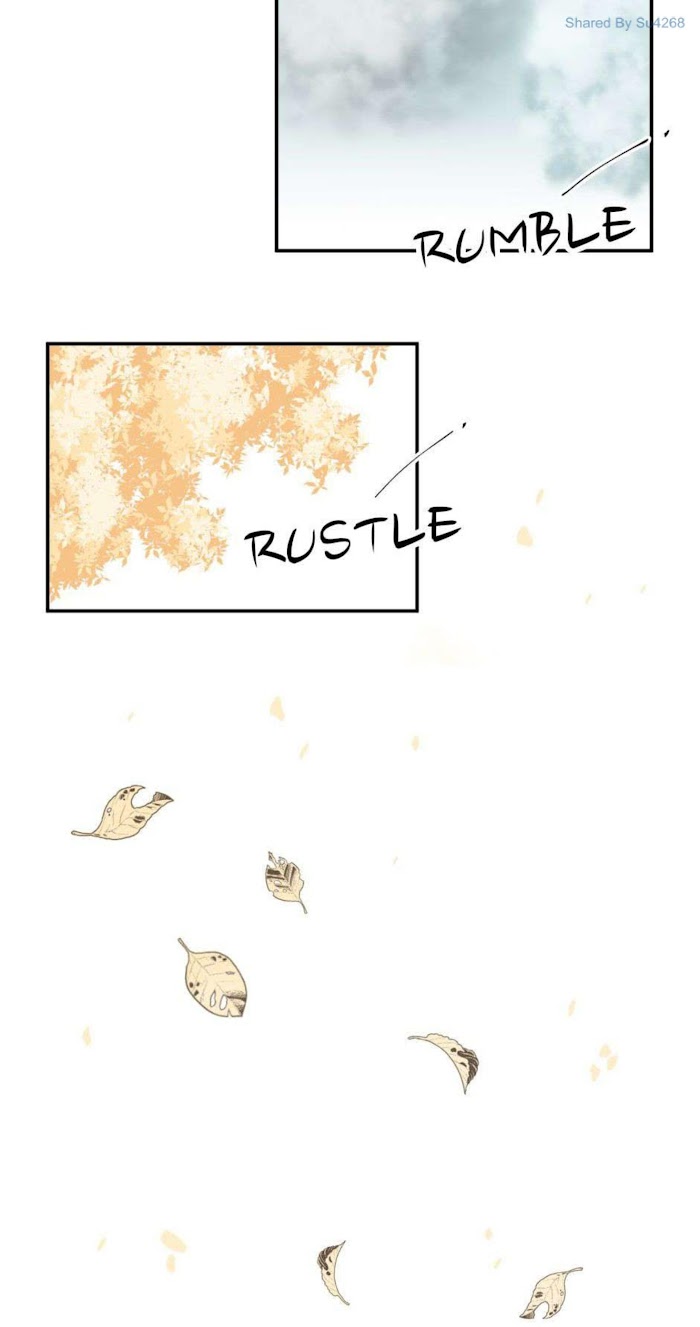 A World Ruled by Cats chapter 46 - page 2