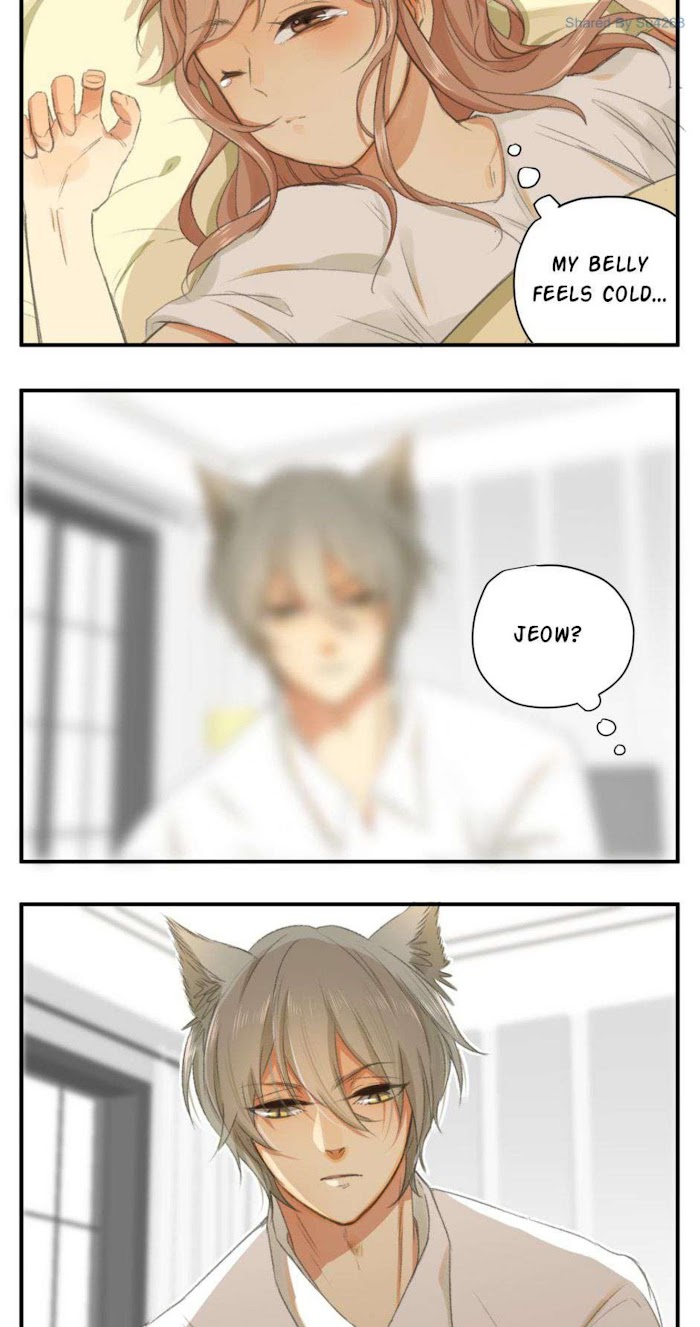 A World Ruled by Cats chapter 46 - page 4