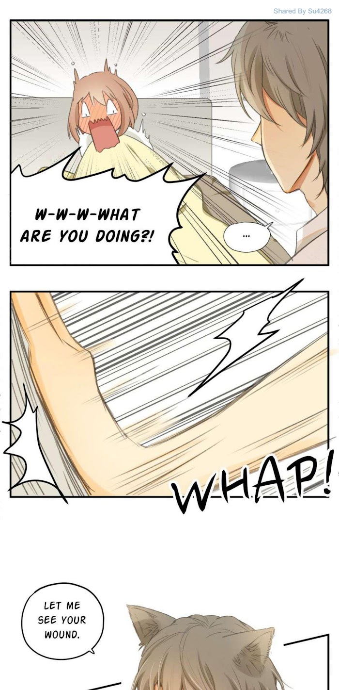 A World Ruled by Cats chapter 46 - page 6