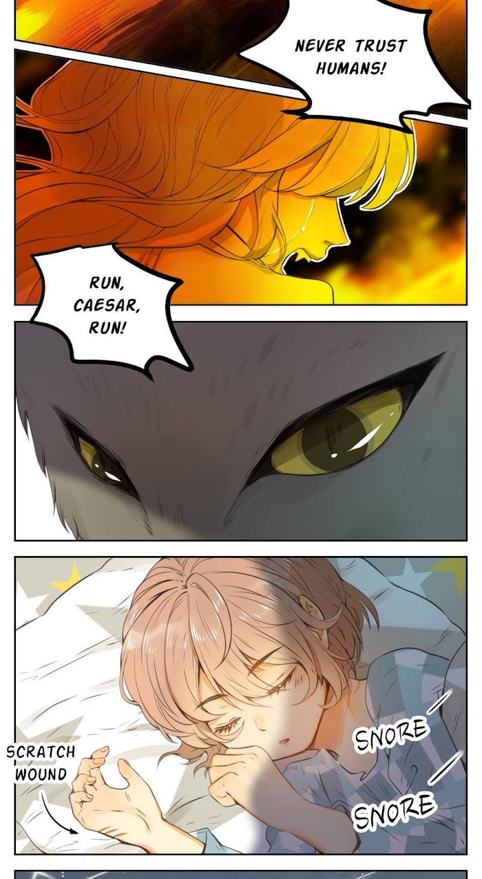 A World Ruled by Cats chapter 26 - page 10