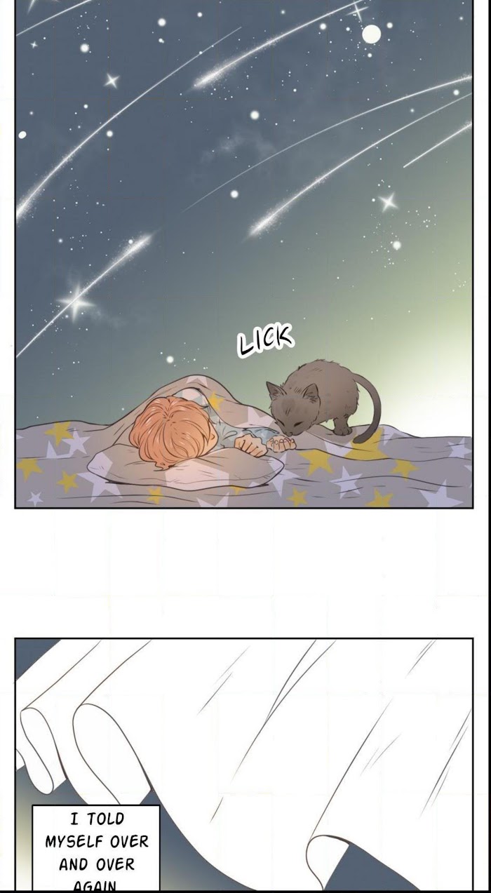 A World Ruled by Cats chapter 26 - page 11