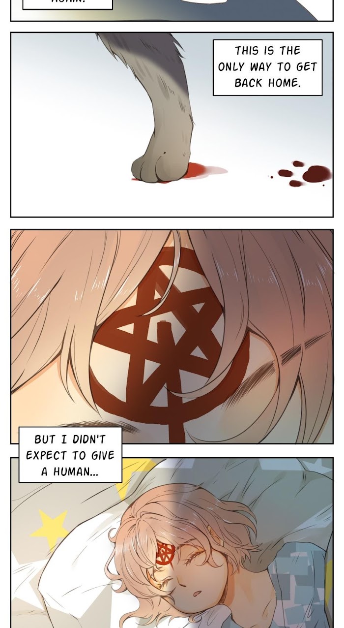A World Ruled by Cats chapter 26 - page 12