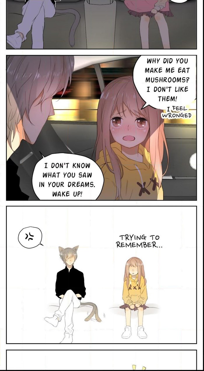 A World Ruled by Cats chapter 26 - page 15