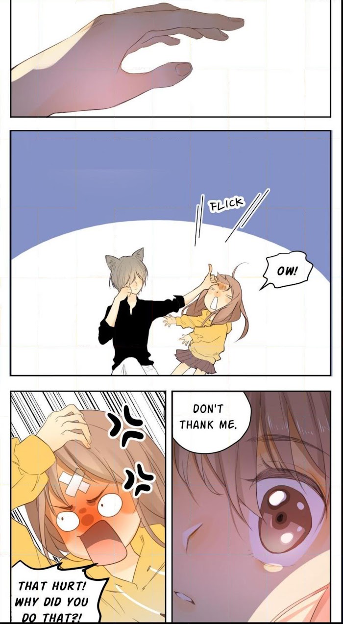A World Ruled by Cats chapter 26 - page 18