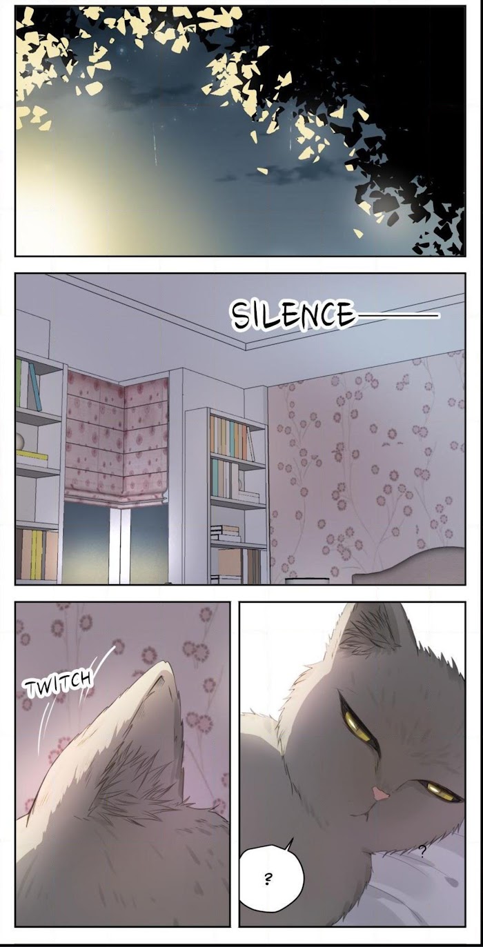 A World Ruled by Cats chapter 26 - page 6