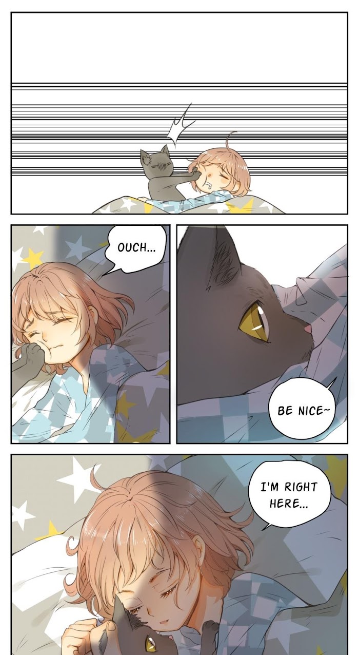 A World Ruled by Cats chapter 26 - page 8