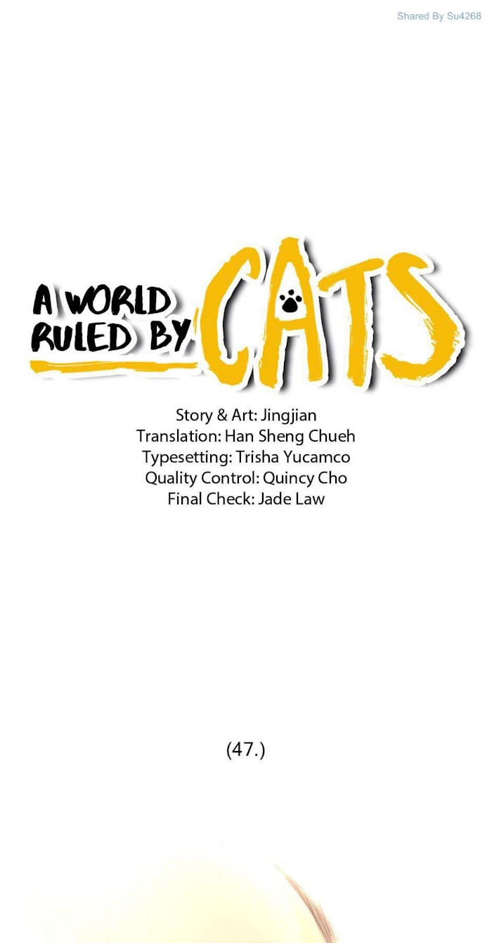 A World Ruled by Cats chapter 47 - page 1