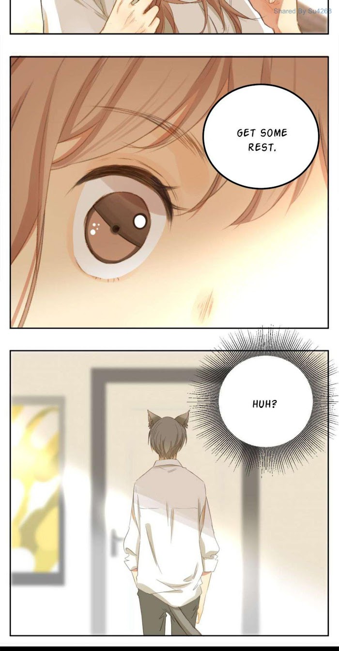 A World Ruled by Cats chapter 47 - page 3