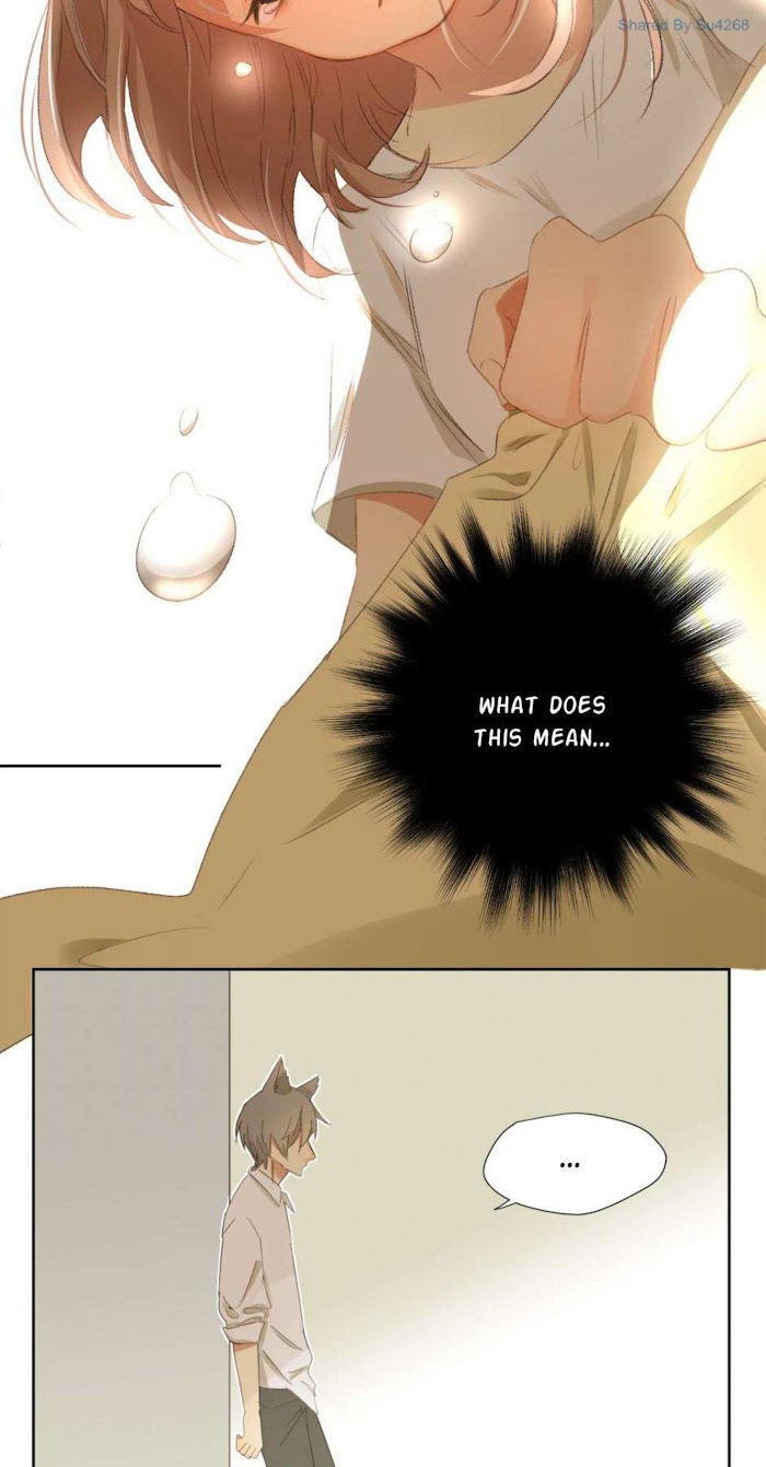 A World Ruled by Cats chapter 47 - page 6