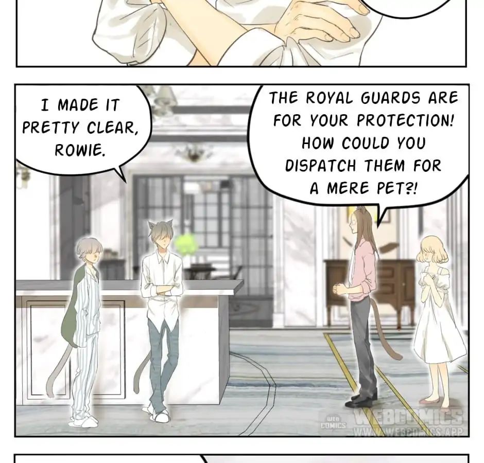 A World Ruled by Cats chapter 19 - page 18