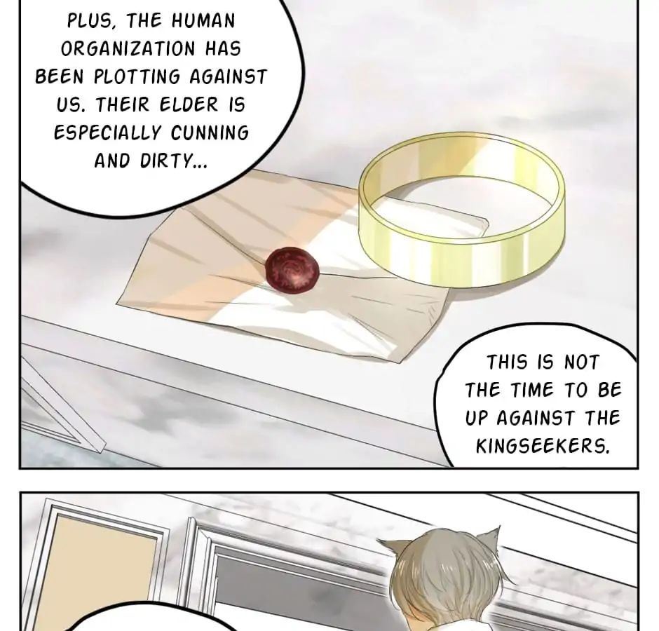 A World Ruled by Cats chapter 19 - page 19