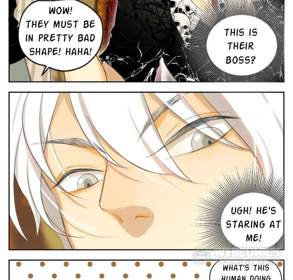 A World Ruled by Cats chapter 19 - page 7