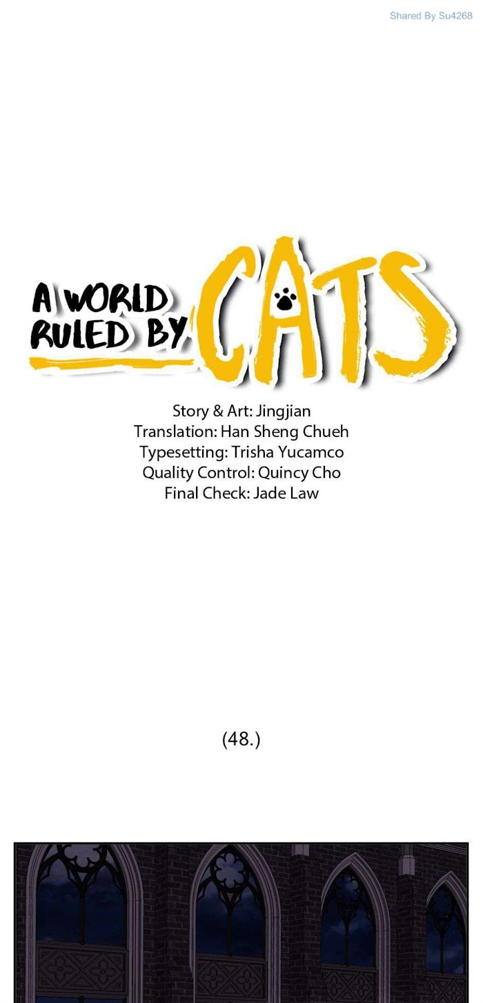 A World Ruled by Cats chapter 48 - page 1