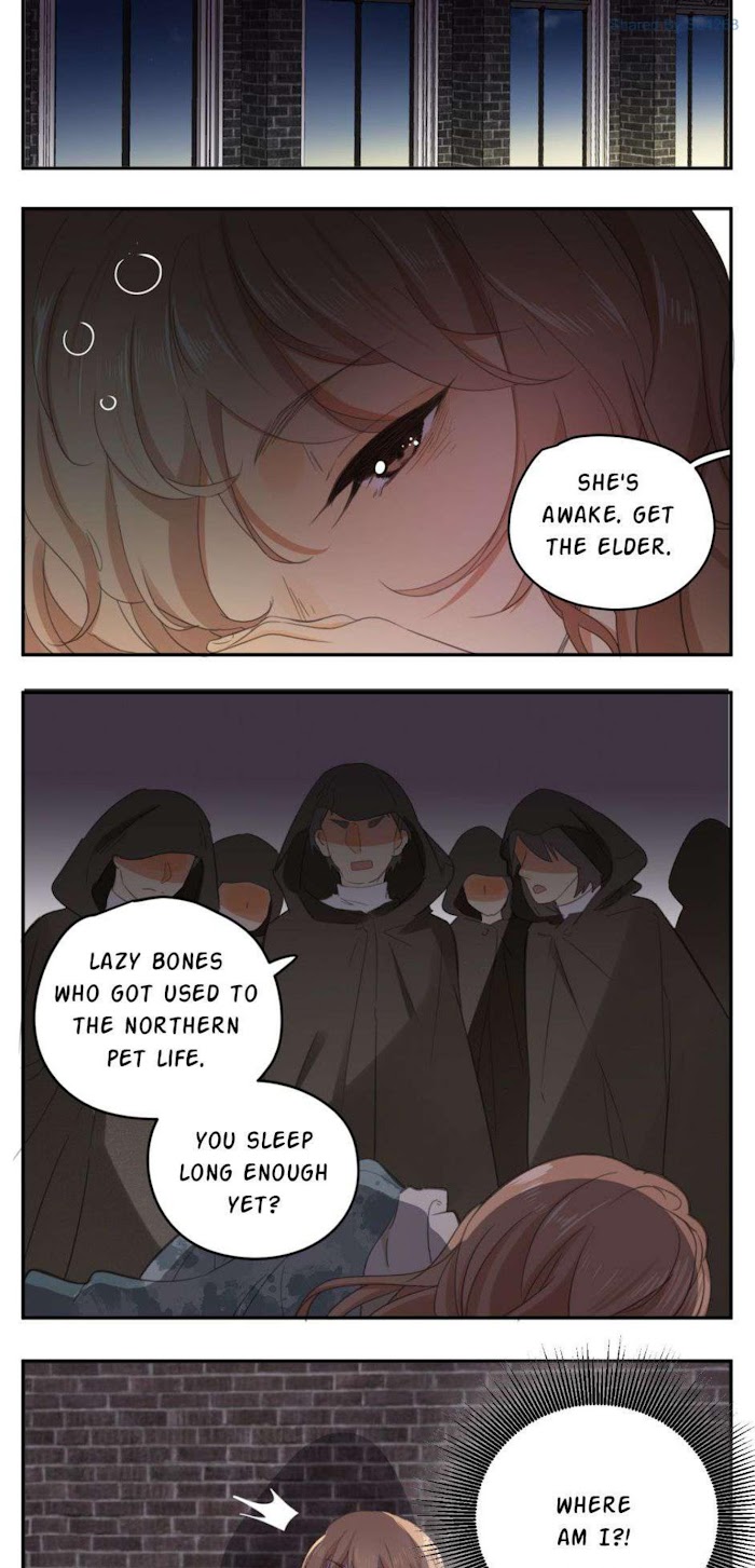 A World Ruled by Cats chapter 48 - page 2