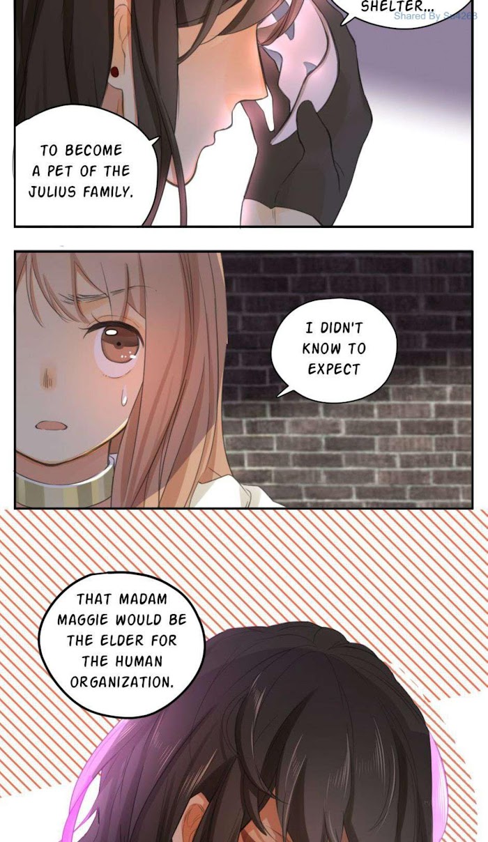 A World Ruled by Cats chapter 48 - page 9
