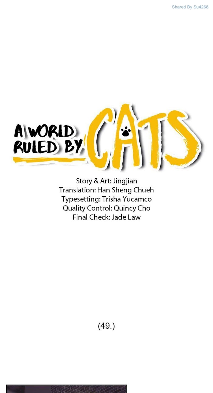 A World Ruled by Cats chapter 49 - page 1