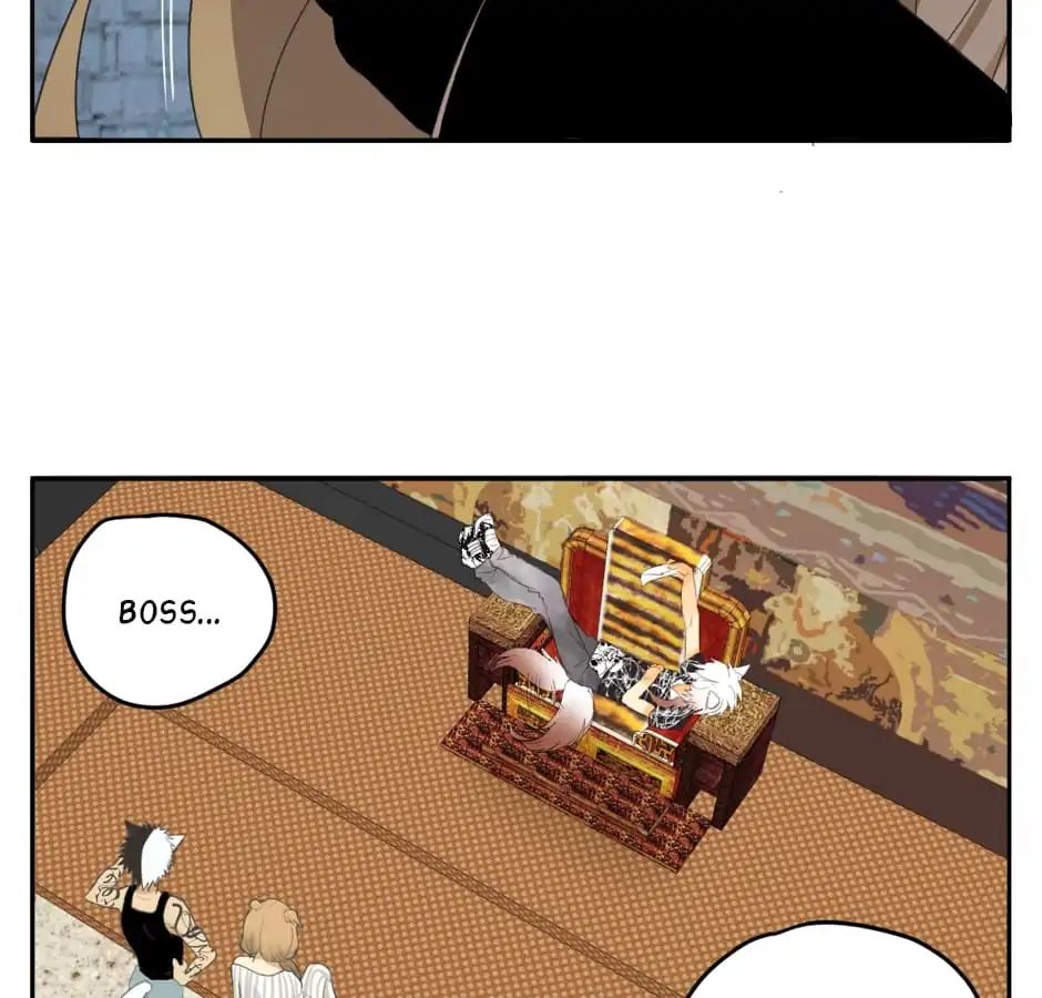 A World Ruled by Cats chapter 20 - page 32