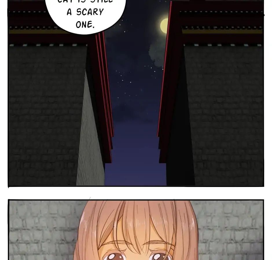 A World Ruled by Cats chapter 20 - page 35