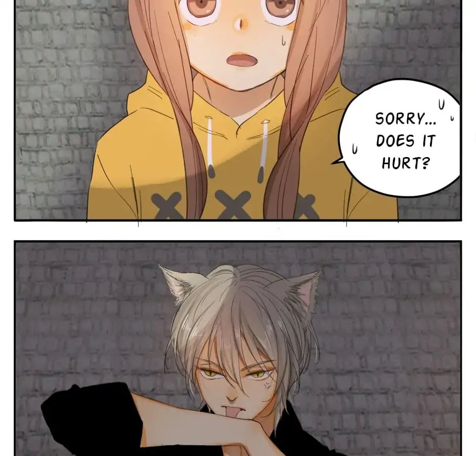 A World Ruled by Cats chapter 20 - page 36