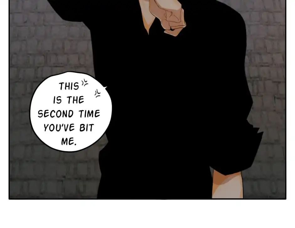 A World Ruled by Cats chapter 20 - page 37