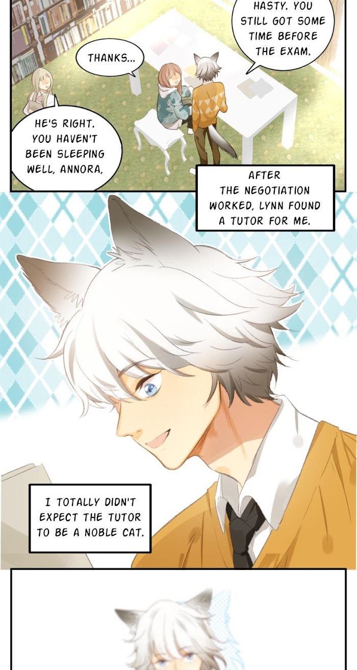 A World Ruled by Cats chapter 51 - page 9