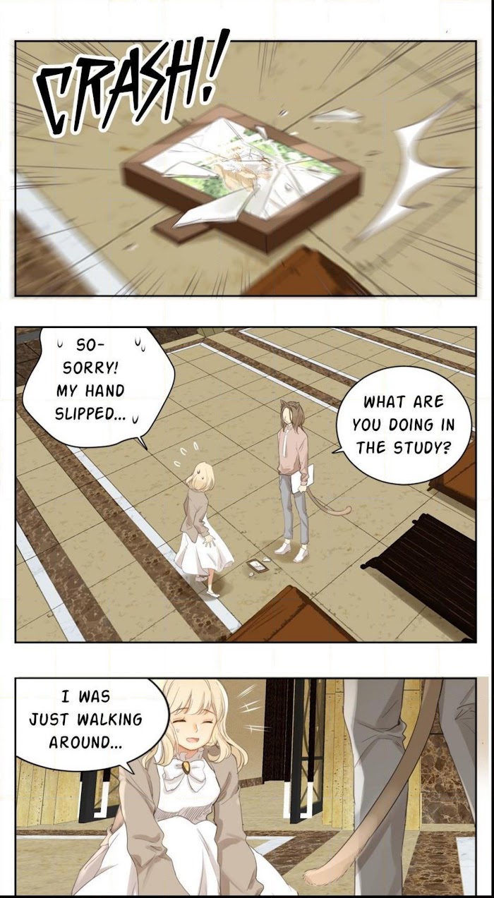A World Ruled by Cats chapter 60 - page 9