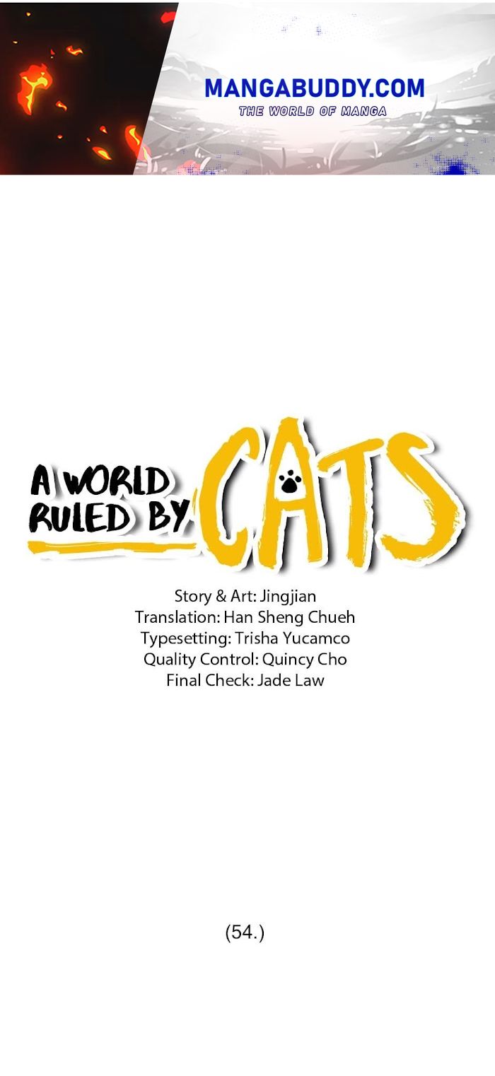 A World Ruled by Cats chapter 54 - page 1