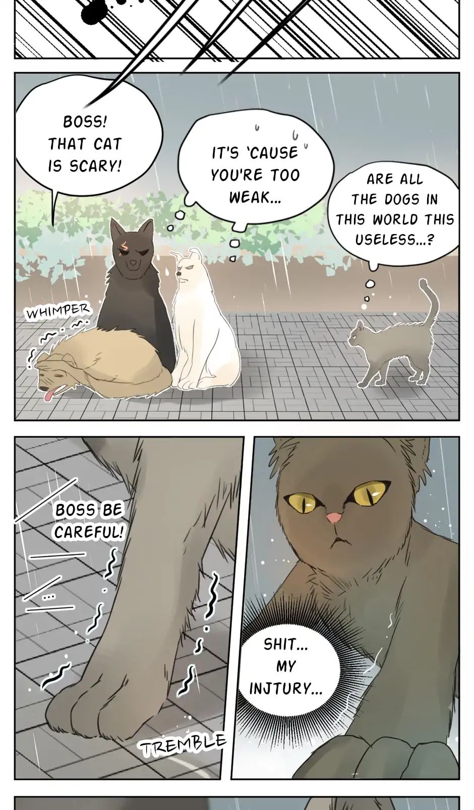 A World Ruled by Cats chapter 25 - page 11