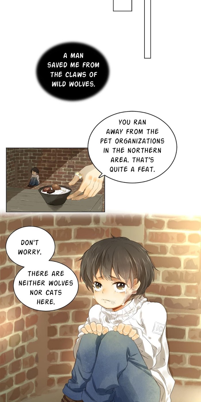 A World Ruled by Cats chapter 55 - page 2