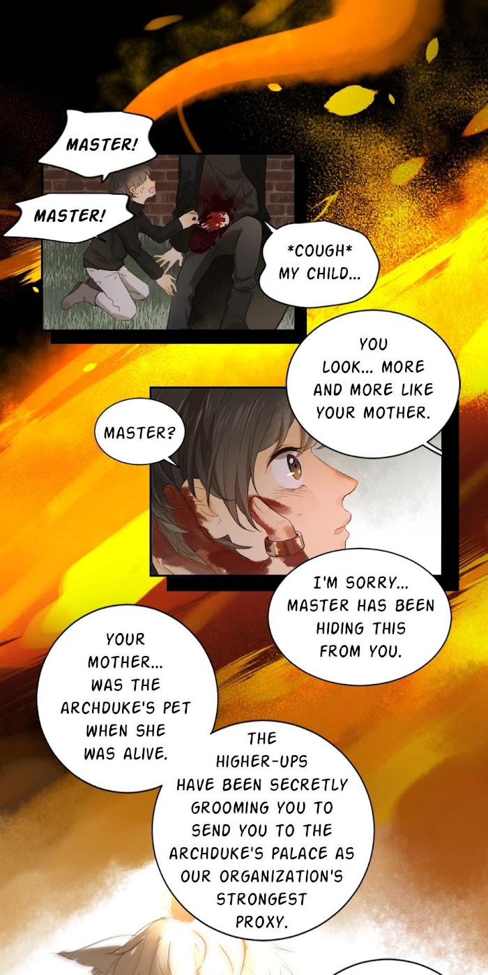 A World Ruled by Cats chapter 55 - page 5