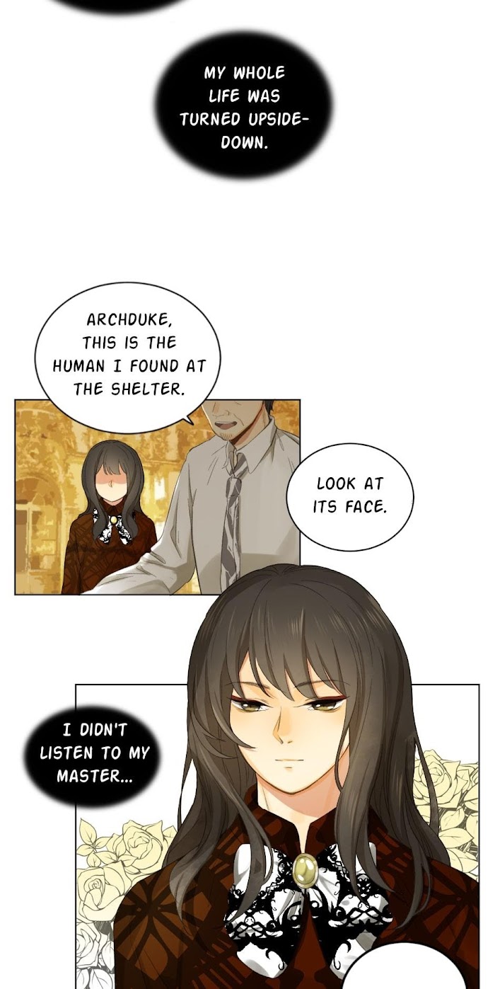 A World Ruled by Cats chapter 55 - page 7