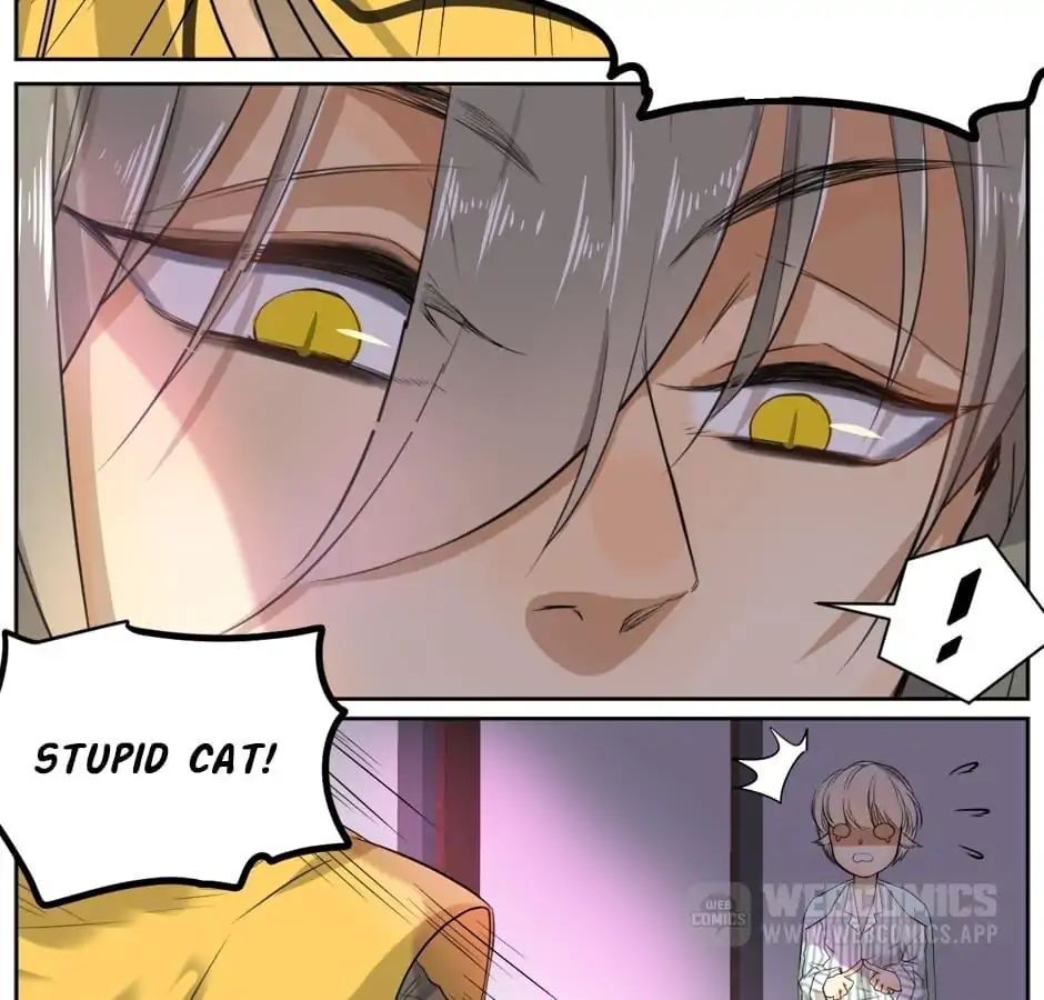 A World Ruled by Cats chapter 9 - page 15