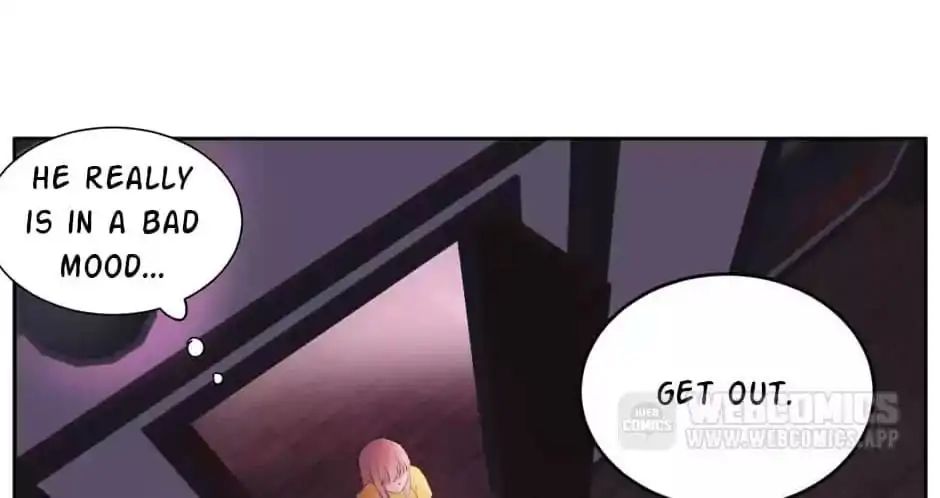 A World Ruled by Cats chapter 9 - page 3