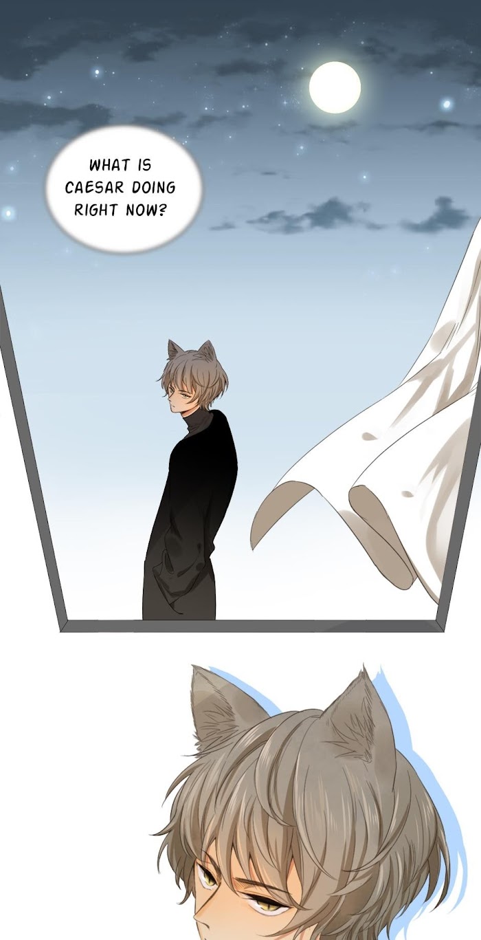 A World Ruled by Cats chapter 56 - page 17