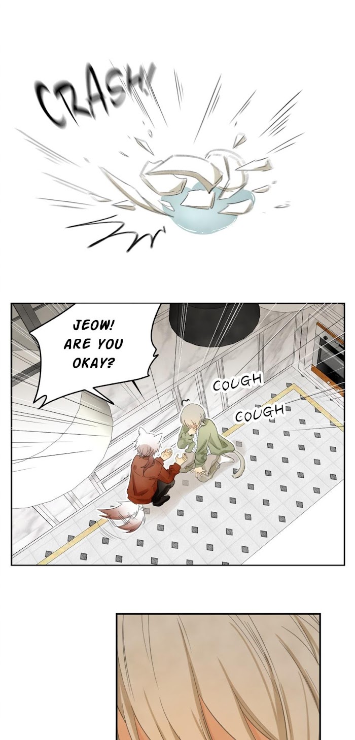 A World Ruled by Cats chapter 57 - page 20