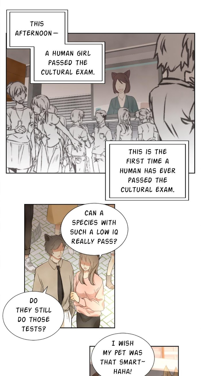 A World Ruled by Cats chapter 57 - page 8