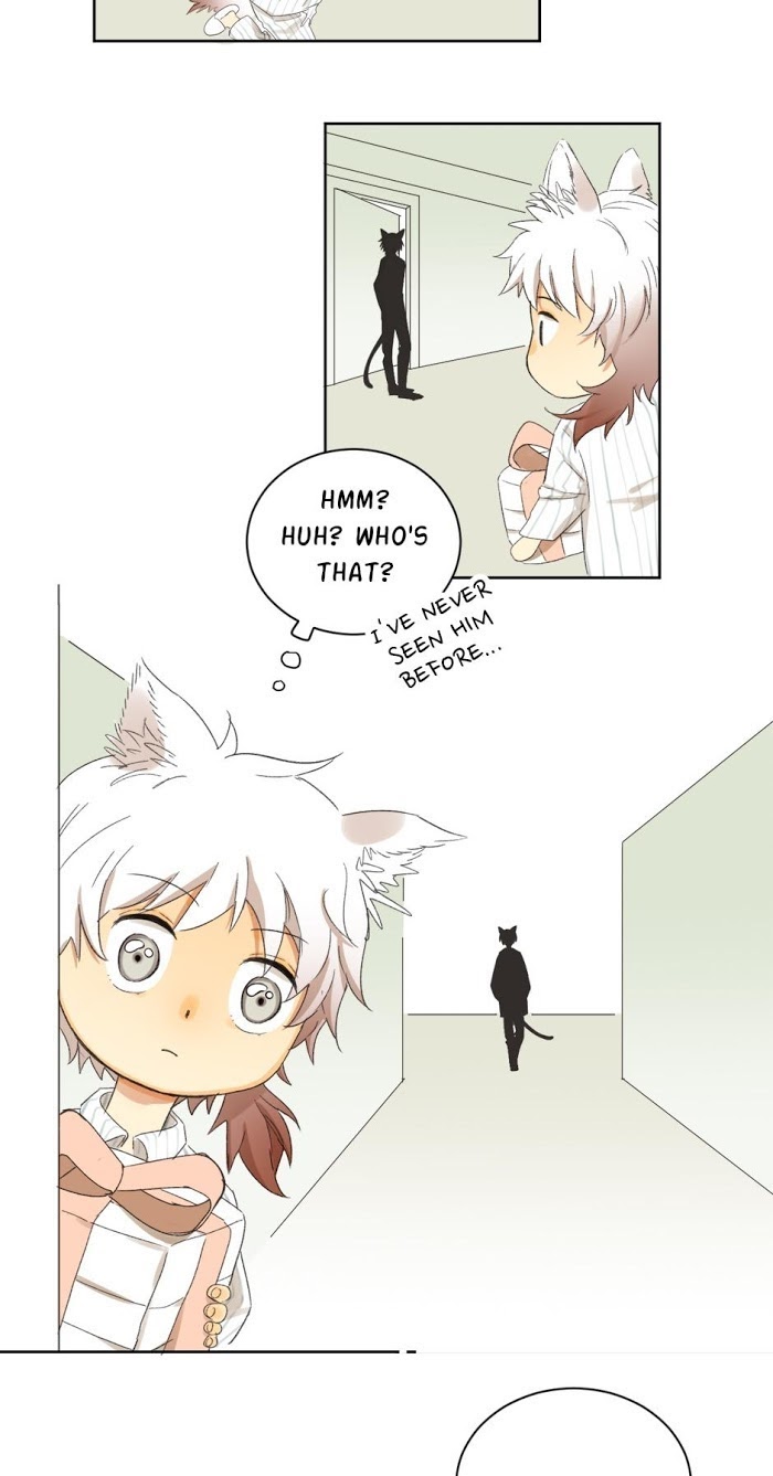 A World Ruled by Cats chapter 58 - page 19