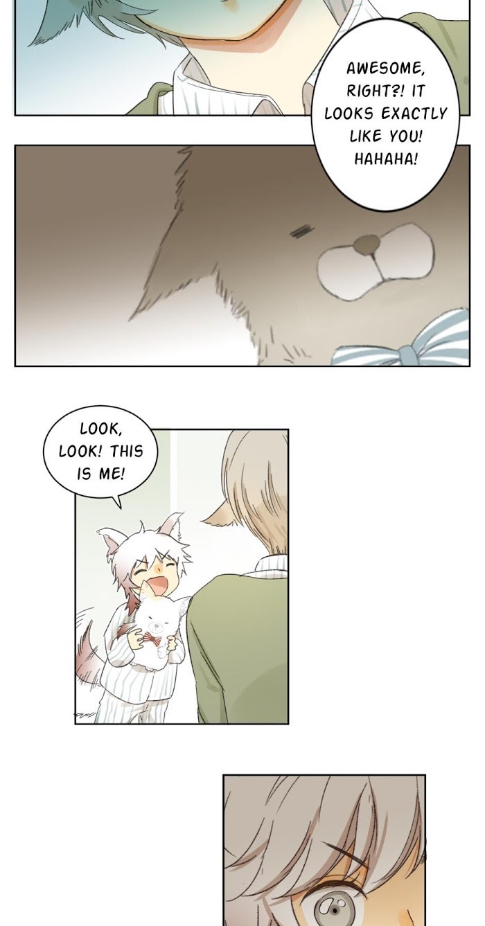 A World Ruled by Cats chapter 58 - page 21