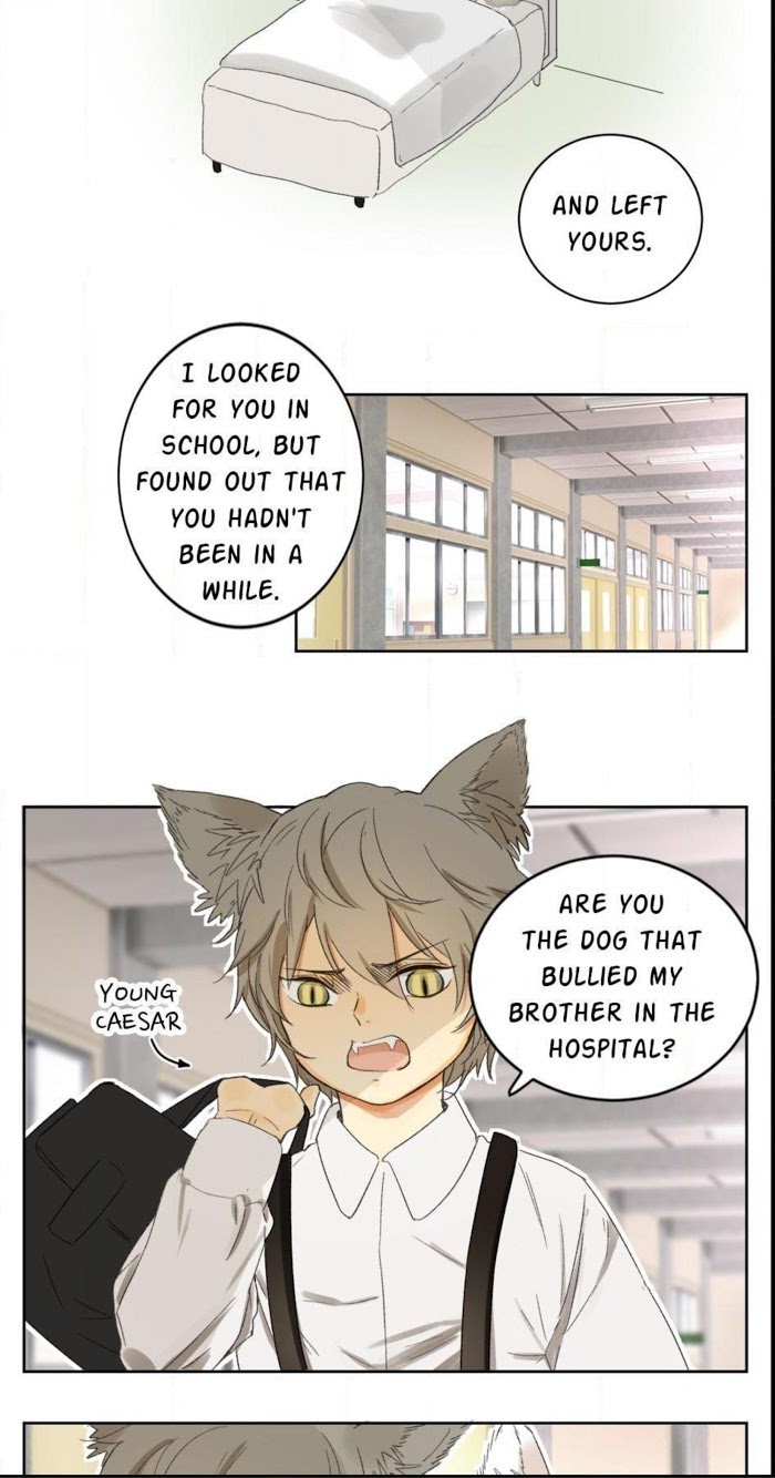 A World Ruled by Cats chapter 58 - page 25